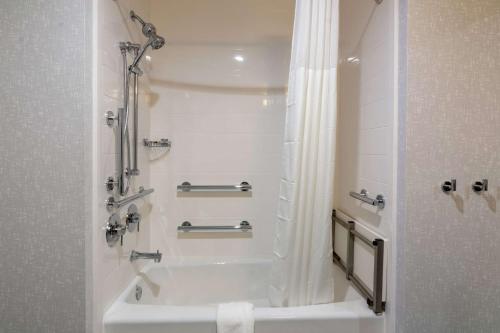 a bathroom with a shower and a bath tub at Hampton Inn & Suites Dallas East in Dallas