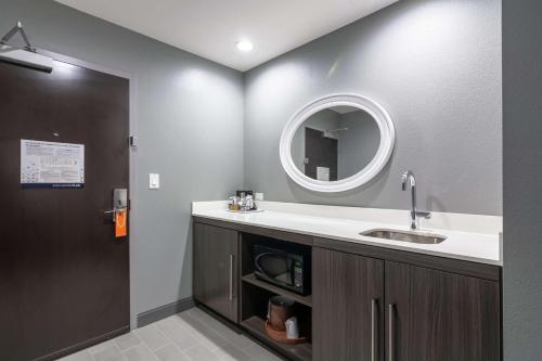 a bathroom with a sink and a mirror at Hampton Inn & Suites Dallas East in Dallas