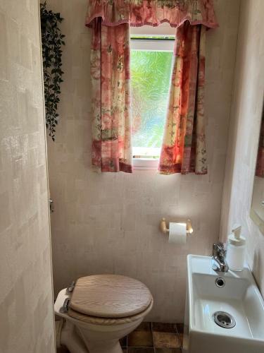 a bathroom with a toilet and a sink and a window at Domki Delux w Helu in Hel