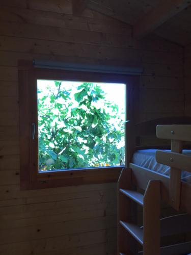 a window in a room with a tree outside at CHALET MARYVONNE in Les Vans