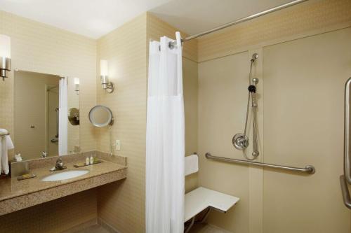 La salle de bains est pourvue d'une douche et d'un lavabo. dans l'établissement DoubleTree Richmond Airport, à Sandston