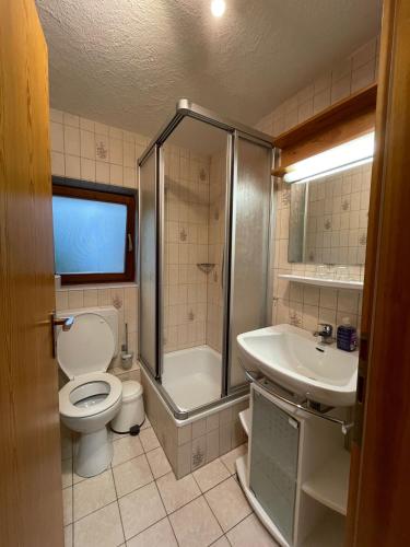 a bathroom with a toilet and a shower and a sink at Kleine, familienfreundliche 1-Zi FeWo am Bach und zwischen zwei Seen in Fahl