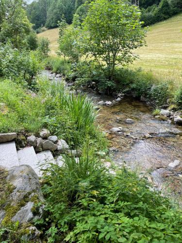 a creek with rocks and plants in a field at Kleine, familienfreundliche 1-Zi FeWo am Bach und zwischen zwei Seen in Fahl