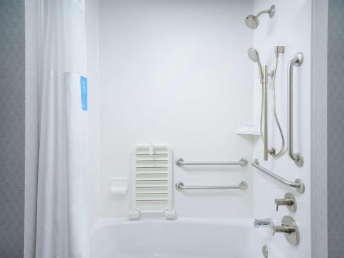 een badkamer met een douche en een bad met een ladder bij Hampton Inn & Suites Atlanta Decatur/Emory in Decatur
