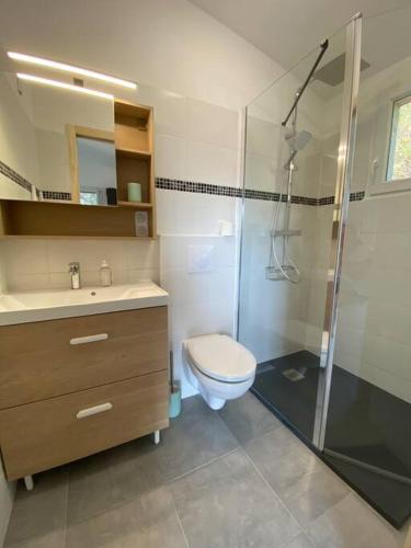 La salle de bains est pourvue d'une douche, de toilettes et d'un lavabo. dans l'établissement Charmant studio à la campagne, à Afa