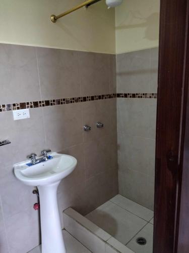 W łazience znajduje się umywalka i prysznic. w obiekcie Comodo y centrico w mieście Ambato