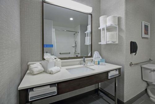 Koupelna v ubytování Hampton Inn Weslaco