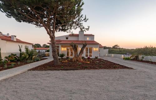 a house with a tree in the driveway at Casa As Macieiras in Bolembre de Baixo