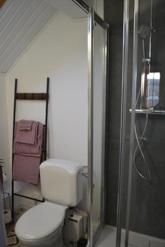 a bathroom with a toilet and a shower at Place 86 in La Reid