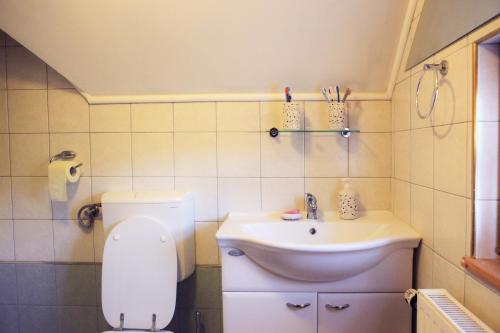 La salle de bains est pourvue de toilettes et d'un lavabo. dans l'établissement Natural Wooden Sweetheart, à Padeški Vrh