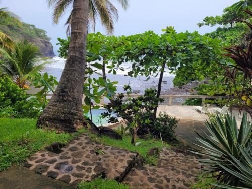 a beach with a palm tree and a stone path at El Rancho De Don Moncho Hostel 