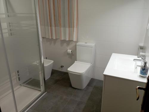 een badkamer met een douche, een toilet en een wastafel bij Casa Las Vitorinas in Cangas de Morrazo