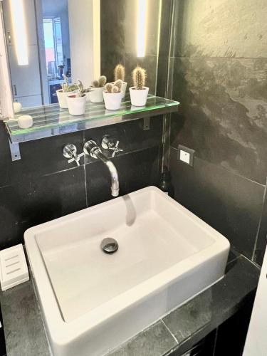 La salle de bains est pourvue d'un lavabo blanc et de cactus. dans l'établissement Cosy penthouse old town sea view little terraces Air conditionned, à Nice