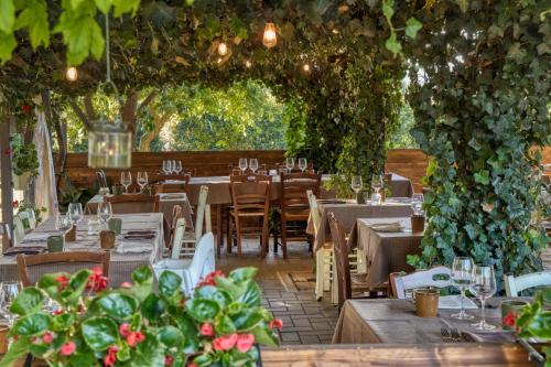 un restaurante con mesas, sillas y vides en La Casa Di Campagna, en Magione