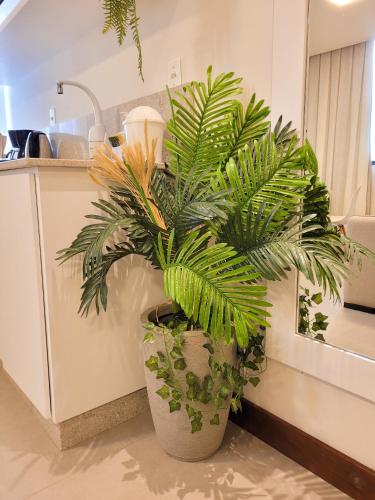 a large green plant in a pot in a kitchen at Residence Farol - Loft 210 - Vista mar Cardoso in Laguna
