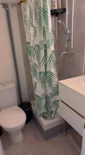 une salle de bain avec toilettes et rideau de douche dans l'établissement T1 à 10 min vieux port / la gare, à Marseille