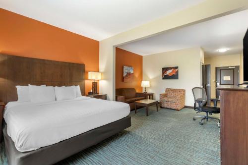 ein Hotelzimmer mit einem Bett und einem Schreibtisch in der Unterkunft Best Western Plus Longhorn Inn & Suites in Luling