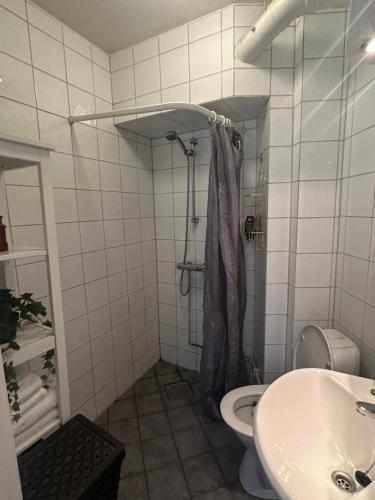 y baño con ducha, aseo y lavamanos. en 35m2 apartment in central oslo, en Oslo