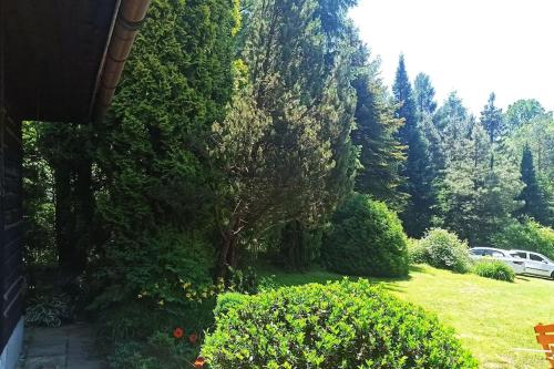 a garden with trees and a yard with a bench at Trzemcha in Tuchów