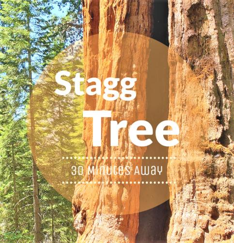 a sign on the side of a tree at Redwood Retreat, Mountains, Adventure and Nature in Ponderosa