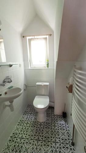 a white bathroom with a toilet and a sink at Trzemcha in Tuchów