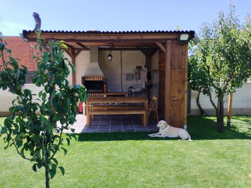 un perro blanco tirado en la hierba bajo una pérgola de madera en Miradoralaribera Chalet rural, en Alcoba de la Ribera