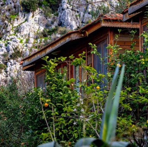 a wooden cabin with a window on a mountain at Palmira Selimiye in Marmaris