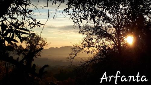 an image of the sun setting behind some trees at Agriturismo La Pina in Tarzo