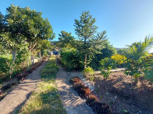 un jardin avec des arbres et des plantes sur un chemin de terre dans l'établissement Teresópolis Hostel, à Teresópolis