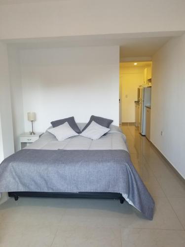 a bedroom with a large bed and a kitchen at DELFINA suites 1A in La Rioja