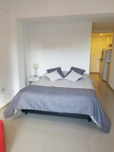 1 dormitorio con 1 cama grande en una habitación blanca en DELFINA suites 1A en La Rioja