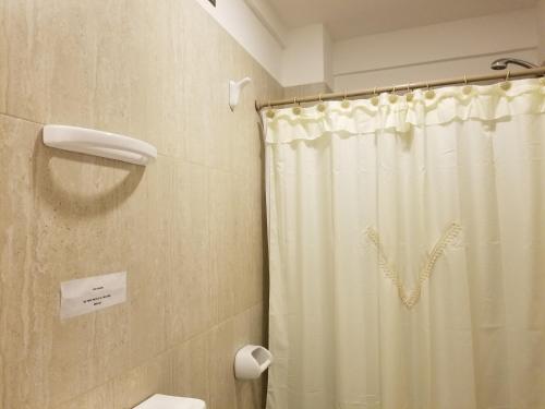 y baño con cortina de ducha y aseo. en DELFINA suites 1A en La Rioja