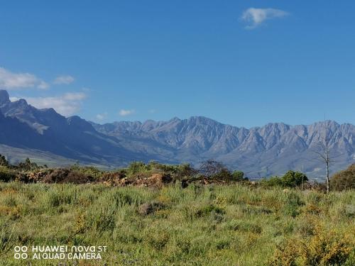 un champ d'herbe avec des montagnes en arrière-plan dans l'établissement Riviera Cottage, à Tulbagh