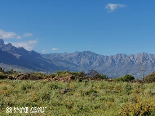 a field of grass with mountains in the background at Riviera Cottage in Tulbagh