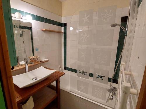 une salle de bain avec un lavabo et une douche dans l'établissement Appartement cosy au cœur d'Autrans, 100m des pistes, balcon, 28m², 4 pers, bien équipé, 2 étoiles - FR-1-737-36, à Autrans
