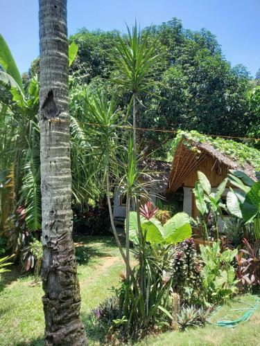 a palm tree in front of a house at Yucca Bungalow in El Nido