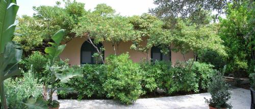 ジャルディーニ・ナクソスにあるB&B Villa Archegetaの木々と植物が目の前に広がる建物