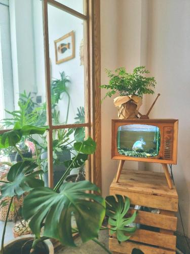 Фотография из галереи LaDa's House Da Nang в Дананге
