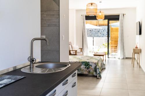 eine Küche mit einem Waschbecken und ein Zimmer mit einem Bett in der Unterkunft Résidence Touristique LES MASCARINS in Petite Île
