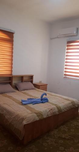 uma cama grande com uma mangueira azul em cima em Jarash em Gérasa