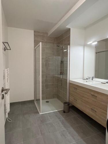 une salle de bain avec douche et lavabo dans l'établissement Appartement vue mer, à Carantec