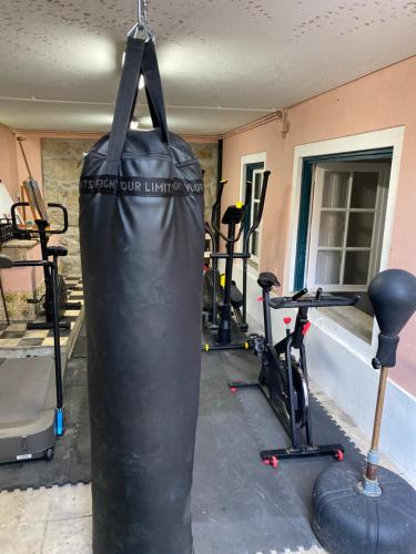 a bunch of exercise equipment in a gym at SEA Villa Rosa Charm Seaside and Garden in Porto