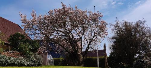 a tree with pink flowers on it in a yard at Værelse med egen stue in Horsens
