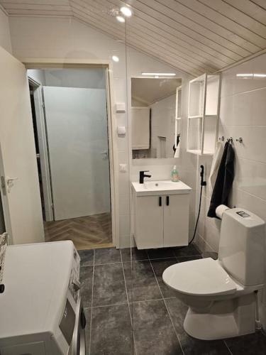 a bathroom with a toilet and a sink and a shower at Juuri valmistunut uudiskohde in Vaasa