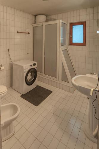 Un baño con lavadora y lavabo. en Two Towers, en Pančevo