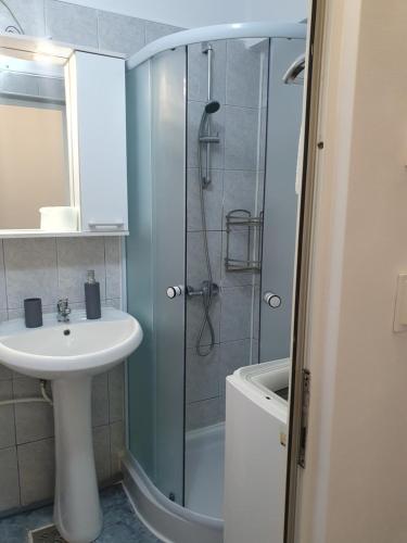 La salle de bains est pourvue d'un lavabo et d'une douche. dans l'établissement Apartament Codruta, à Turda