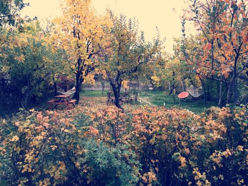 a park with a picnic table and trees with leaves at Miro Mara Boutique Hotel & Lounge Bar in Edremit
