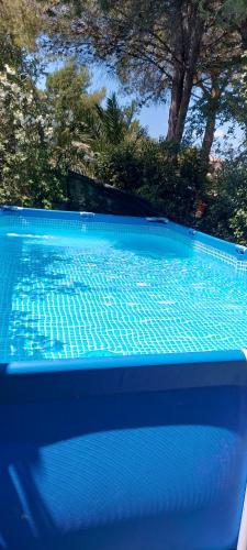 une grande piscine bleue avec des arbres en arrière-plan dans l'établissement Le Mazet du Thym, à Restinclières