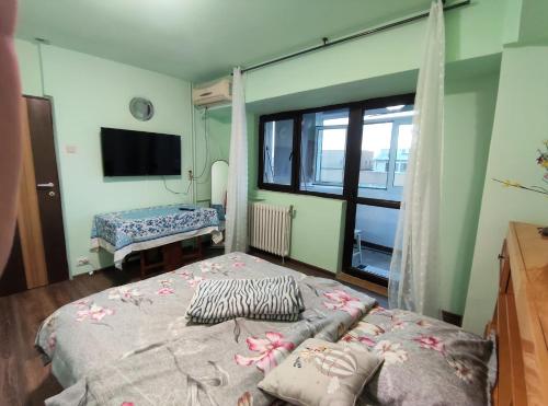 1 dormitorio con cama, ventana y TV en Lake and park view residence en Bucarest