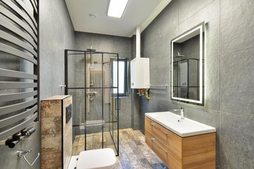 ein Bad mit einer Dusche, einem Waschbecken und einem WC in der Unterkunft Zielone Domki Morze i Jezioro in Siecino